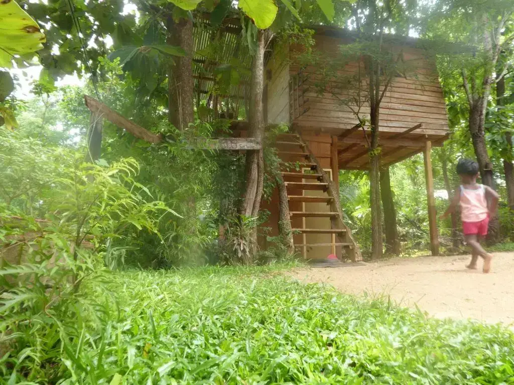 Хабарана: Angry Birds Tree house