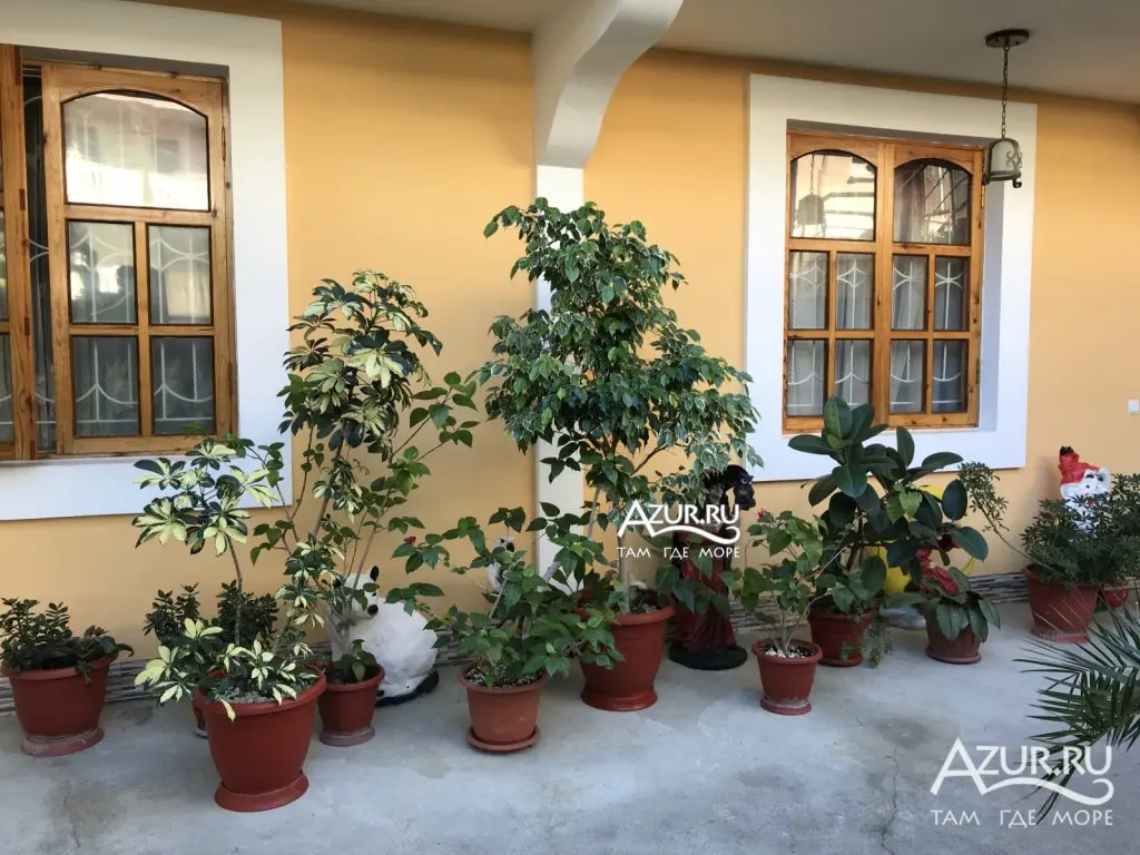 Сочи: Kenguru Guest House