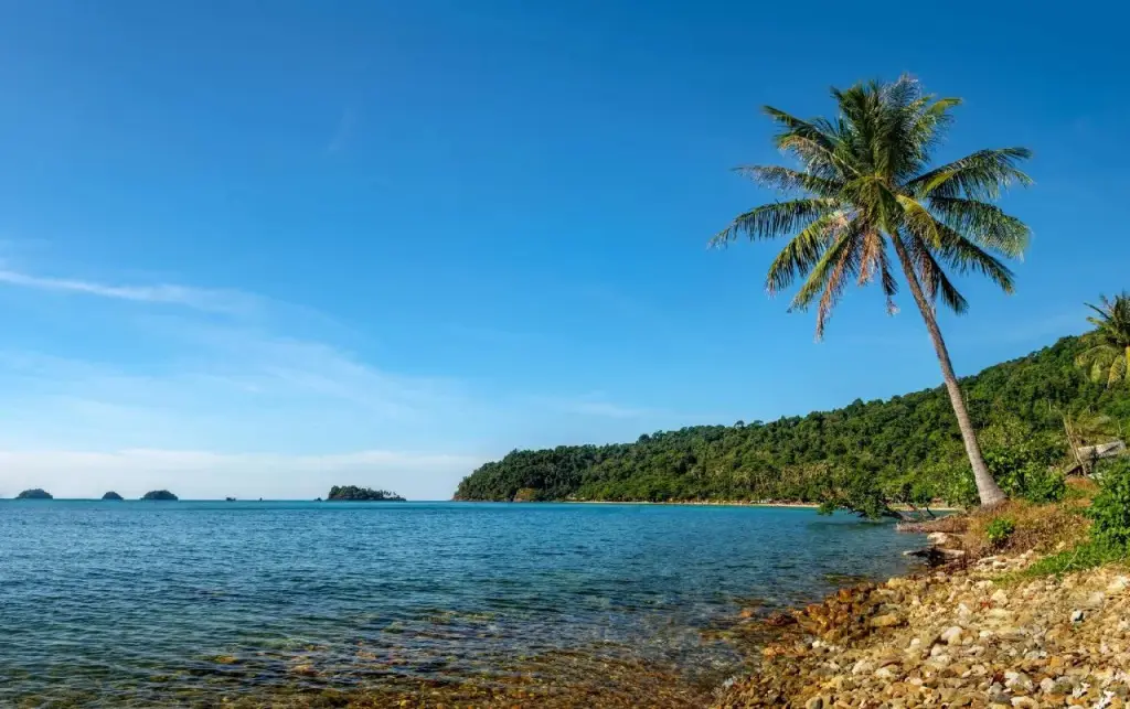 Ко Чанг: Mango Tree Resort Koh Chang