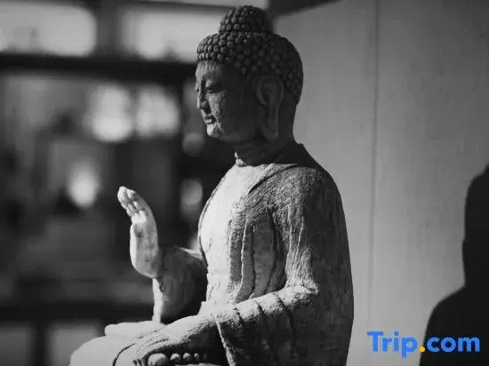 Куньмин: Kunming Qianxun Mowen Hot Spring SPA Homestay