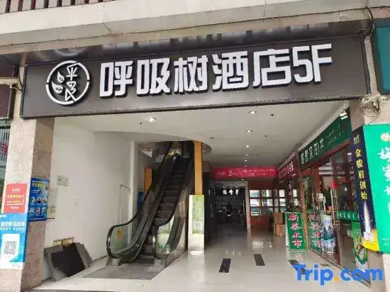 Шанхай: Nengze Hotel Shanghai