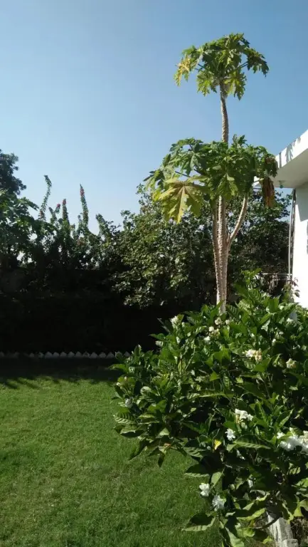 Кхаджурахо: Prem Homestay