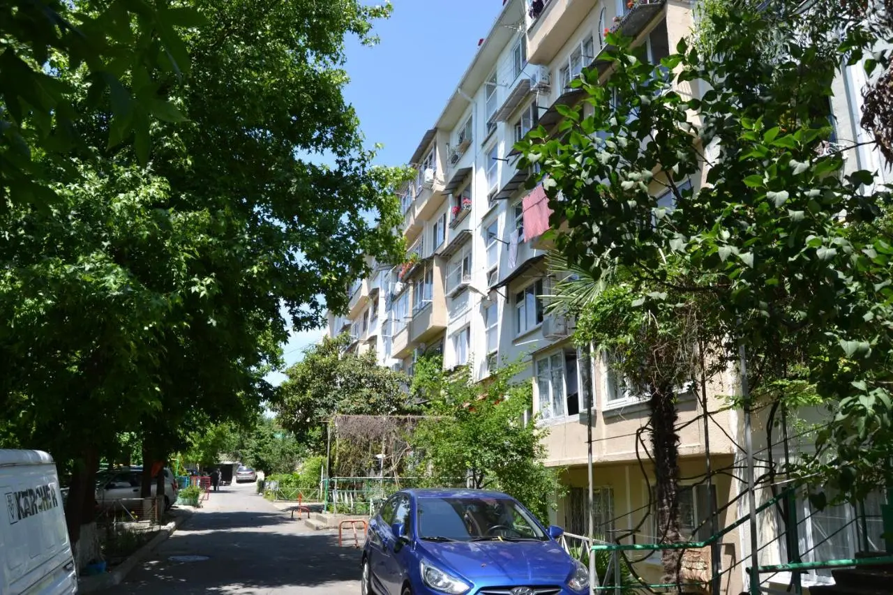 Сочи: Na Dmitrievoi Apartment