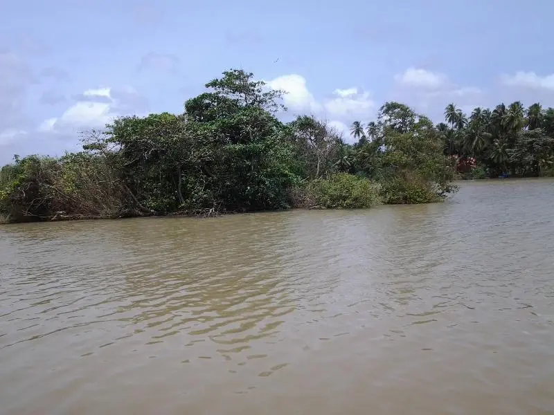 Вайккал: Negombo Beach Cabana 7 Bed & Breakfast