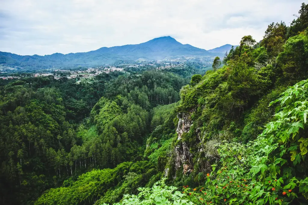 Бандунг: homestay syariah setiabudi Bandung