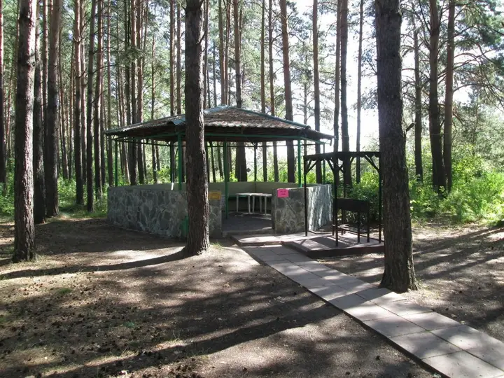Бердск: Lazurnyj (Novosibirsk)