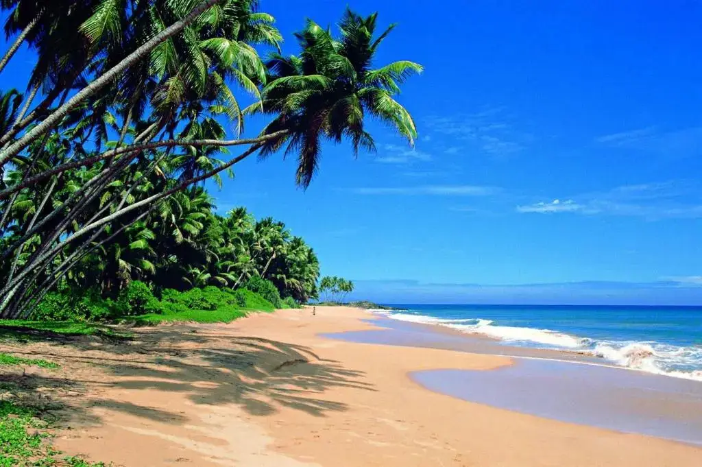 Ахунгалла: Shanthi Guest & beach villa