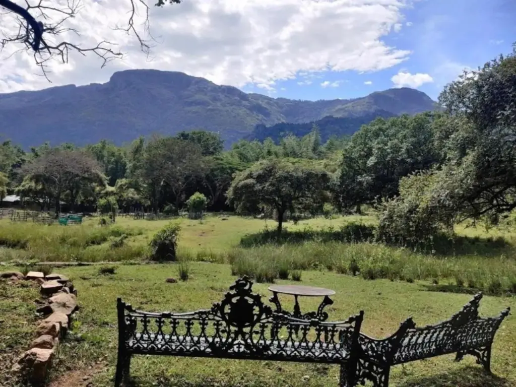 Ути: Jungle Retreat Masinagudi