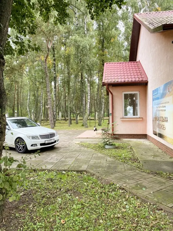 База отдыха Лесное — фото 1