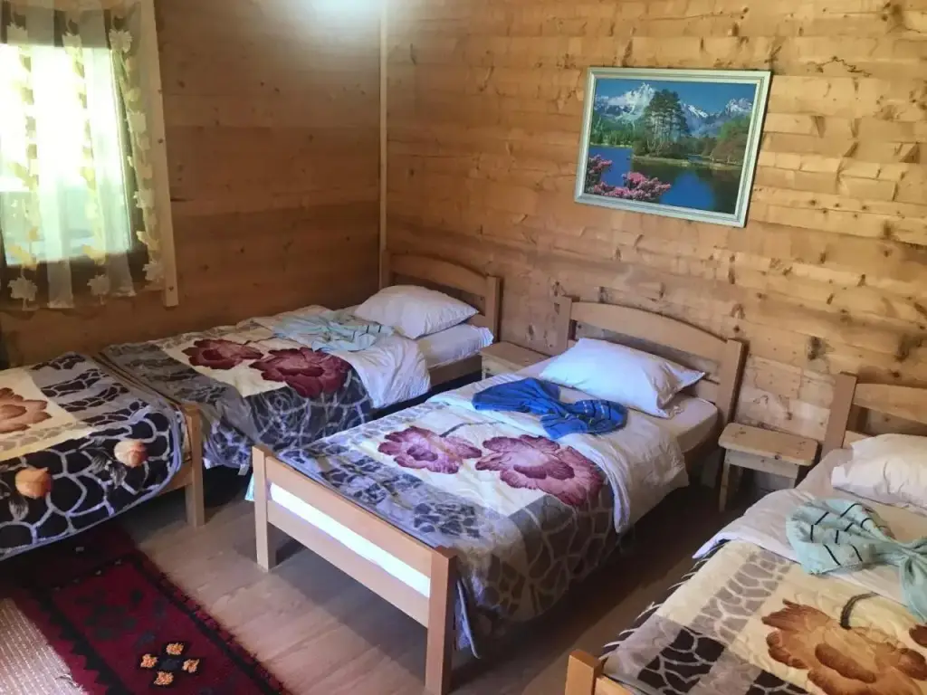 Андриевица: Old House