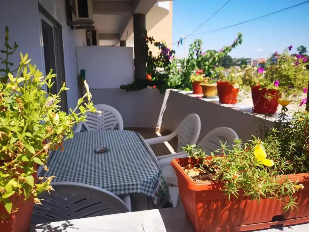 Ульцинь: Apartments Daris