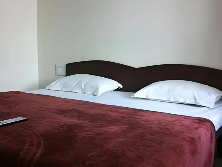 Савай-Мадхопур: Hotel Royal Den