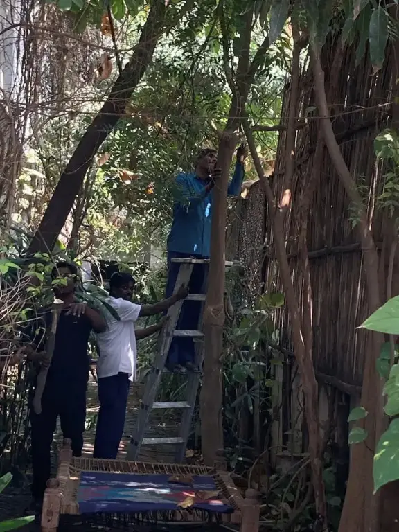 Бодх-Гая: Shantidevi Ashram 's Guest House