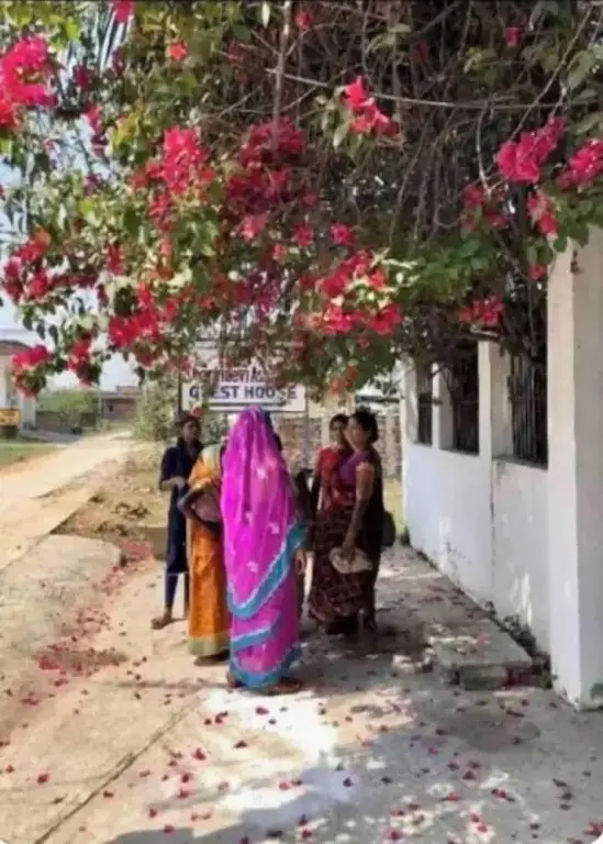 Бодх-Гая: Shantidevi Ashram 's Guest House