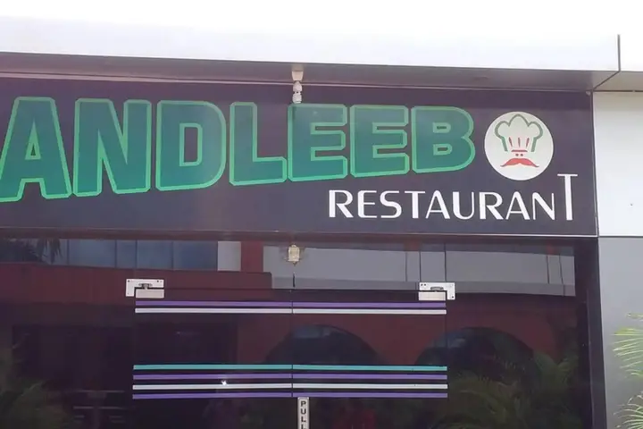 Вайдхан: Hotel Andleeb Palace