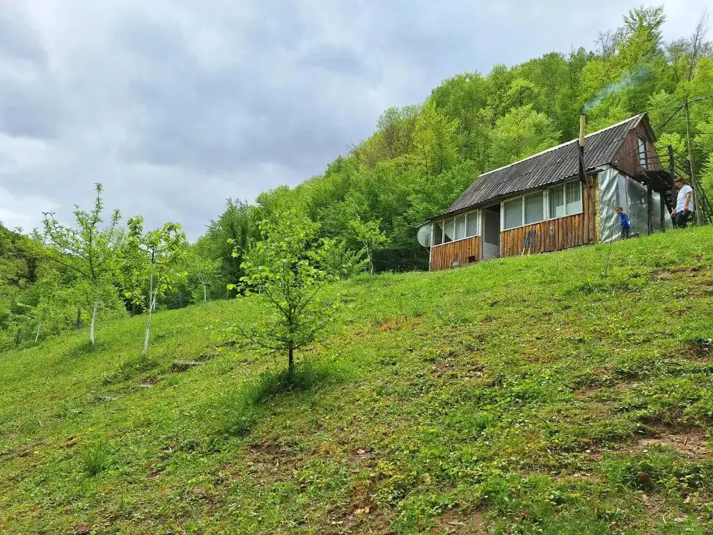 Каньон Tara: Country house Tara Orasac