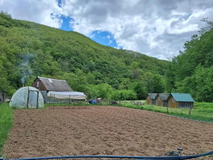 Каньон Tara: Country house Tara Orasac