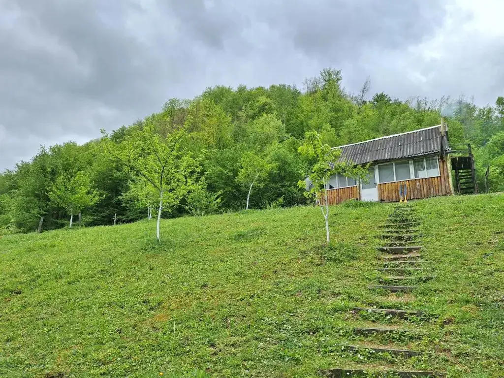 Каньон Tara: Country house Tara Orasac