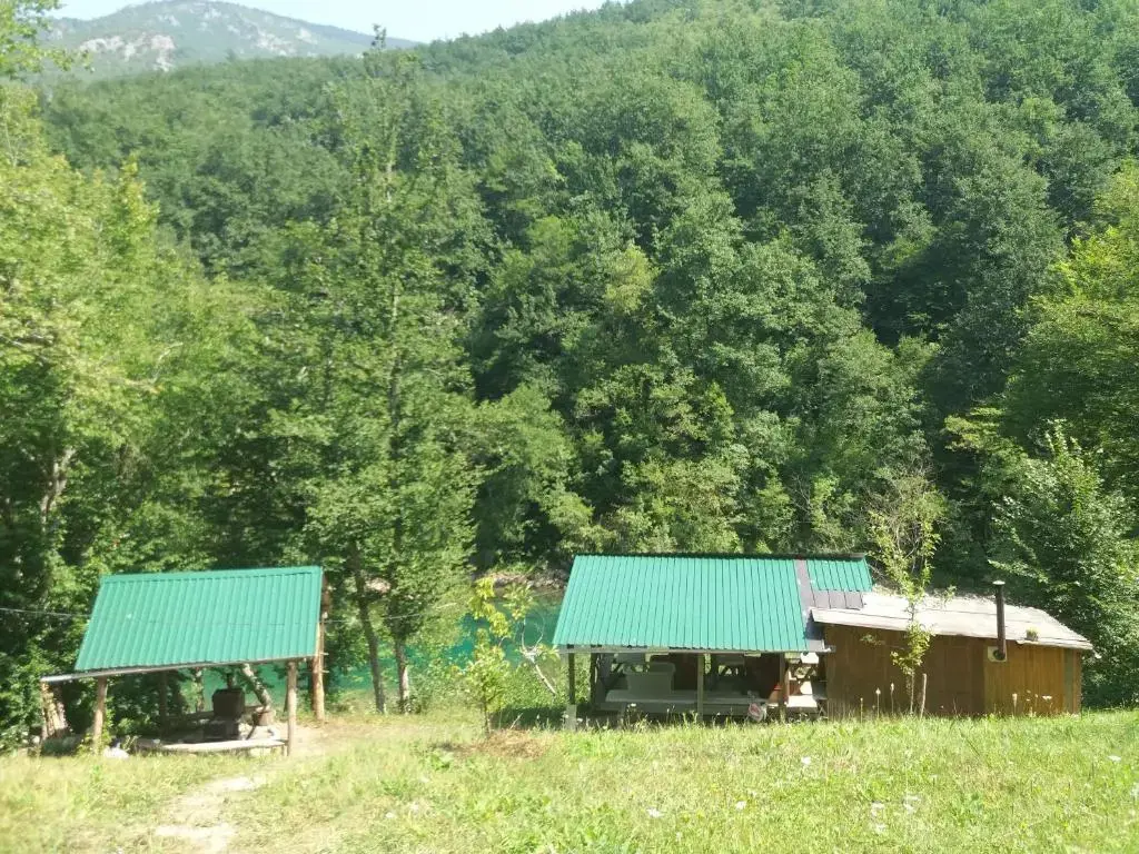 Каньон Tara: Country house Tara Orasac