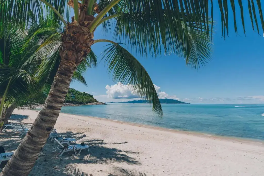 Самуи: Samui Art Villa