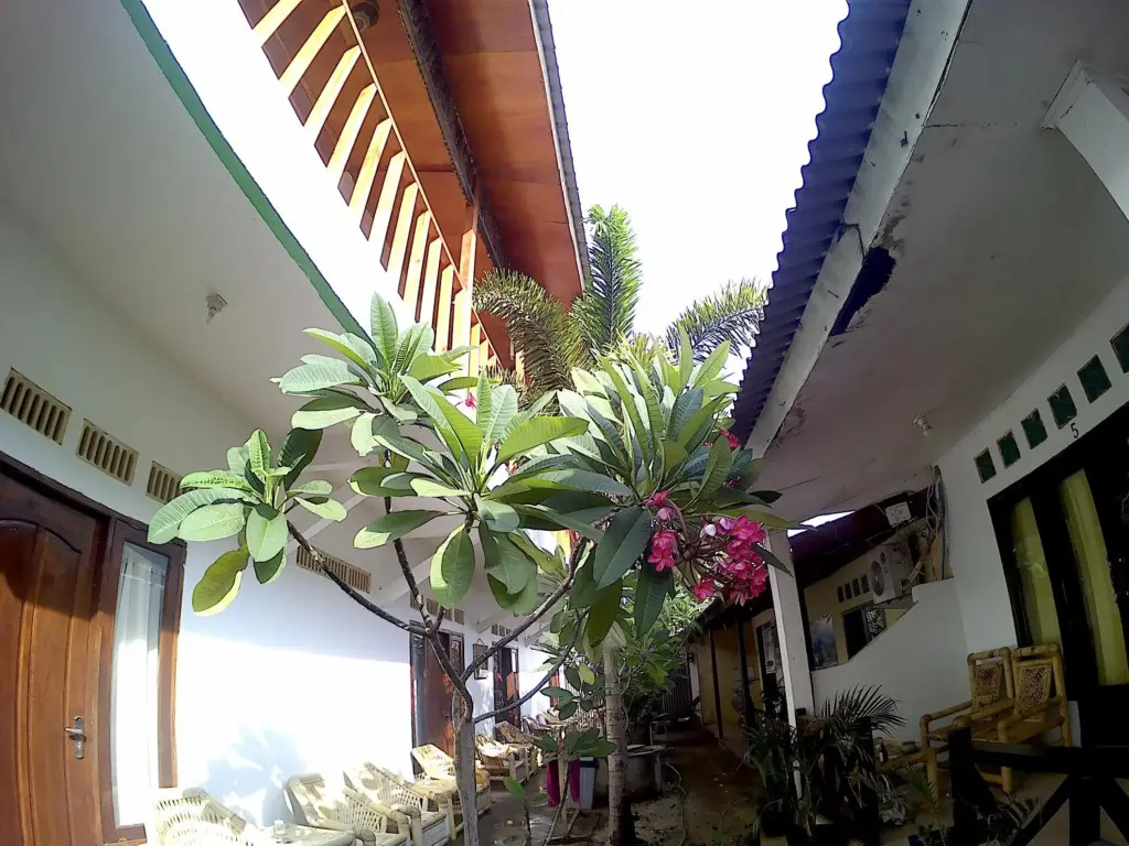 Гили Траванган: Ombak Homestay
