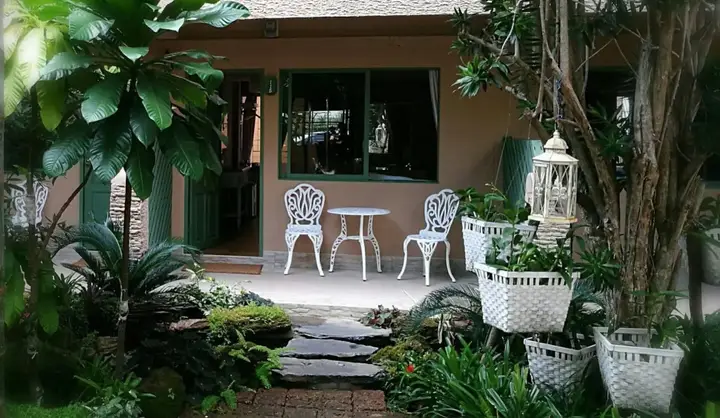 Паттайя: Tree Touch Pattaya