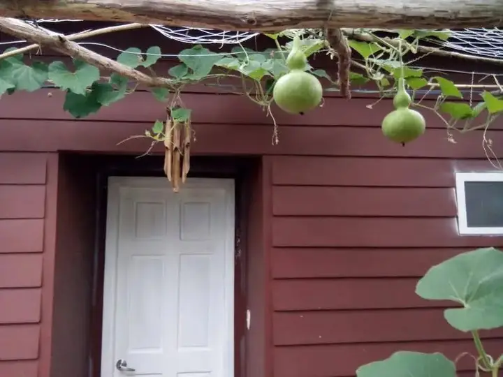 остров Фукуок: Seaside Home Stay
