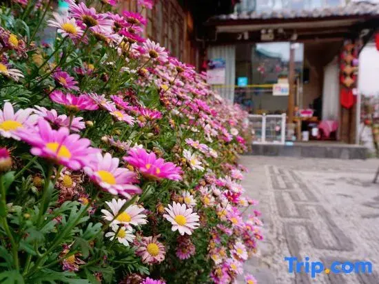 Лицзян: Pingju Scenic Inn (The Old Town of Lijiang)