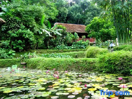 Туенкуанг: Ecolodge Pan Hou Village
