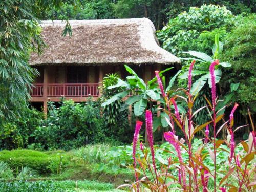 Туенкуанг: Ecolodge Pan Hou Village
