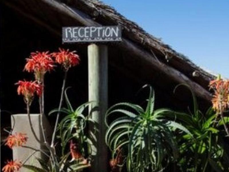 Swell Eco Lodge — фото 1