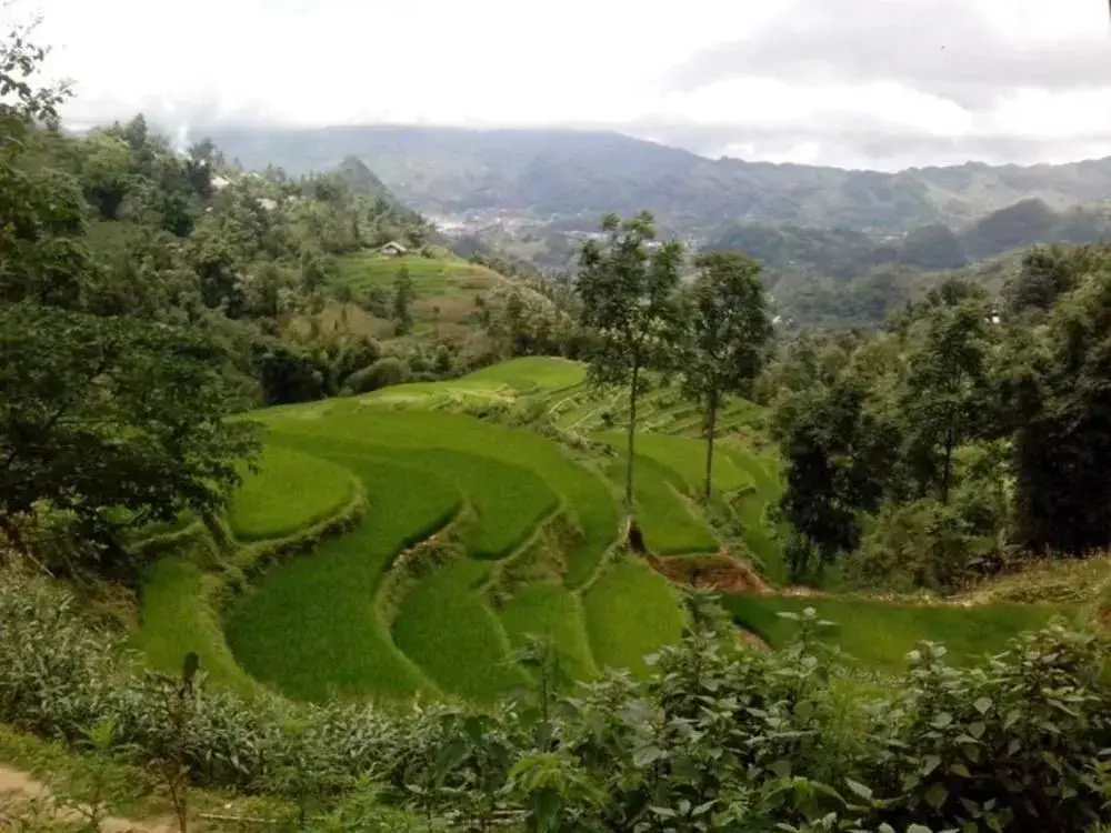 Лаокай: Ngan Nga Bac Ha Hotel