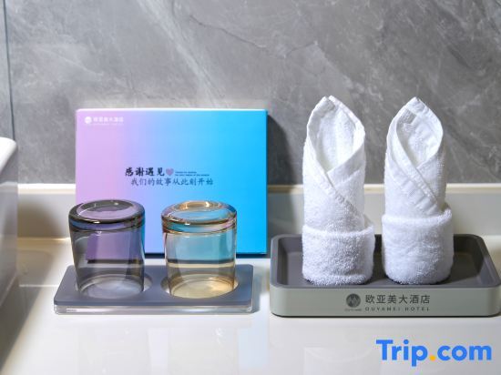 Шанхай: Shanghai Tiankang Hotel