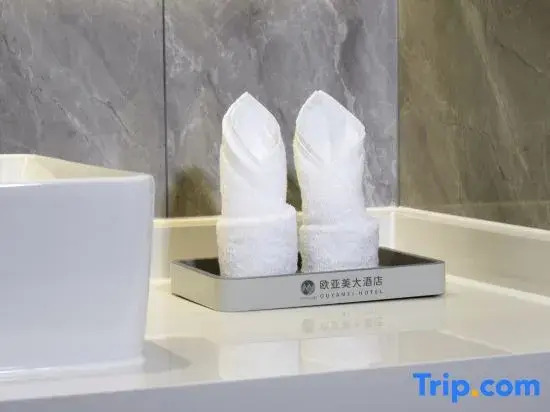 Шанхай: Shanghai Tiankang Hotel