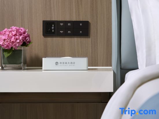 Шанхай: Shanghai Tiankang Hotel