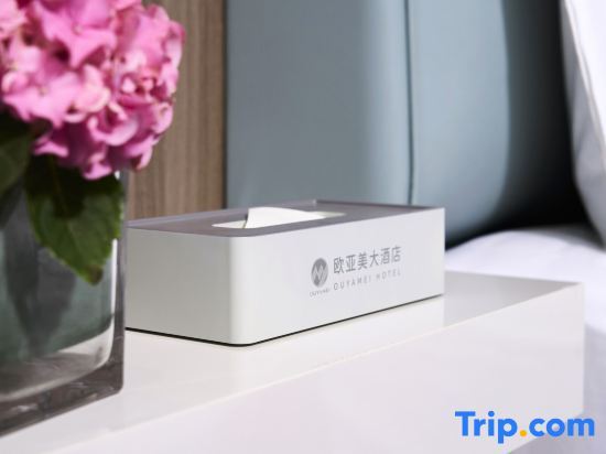 Шанхай: Shanghai Tiankang Hotel