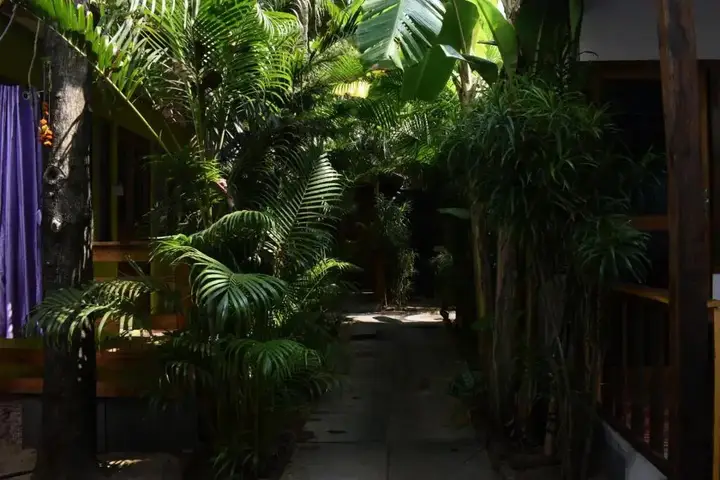 Южный Гоа: Mantra Yoga Resort