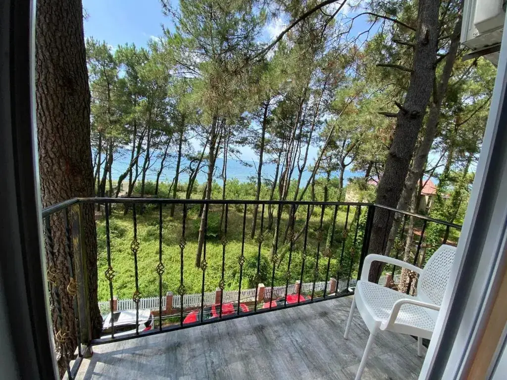 Шекветили: Hotel Bajo Shekvetili