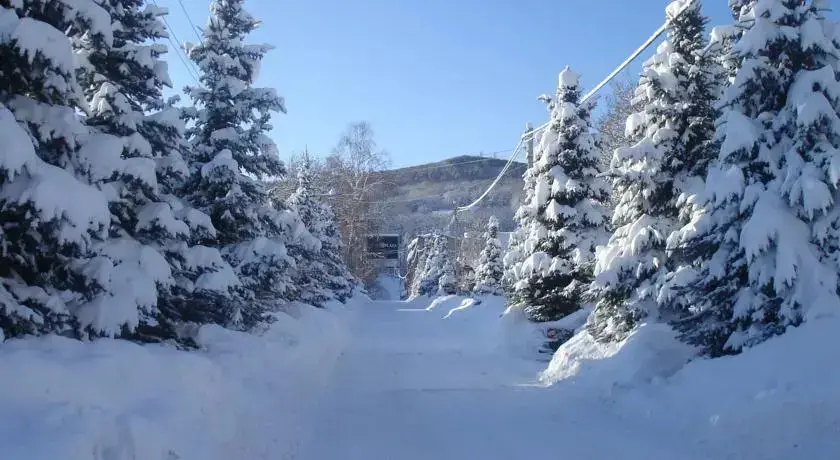 Цахкадзор: Cottage Guest House