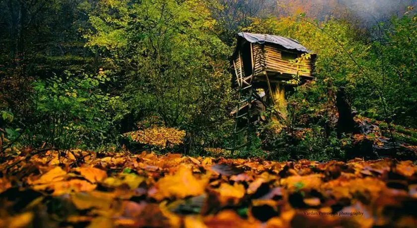 Енокаван: Park Village Lastiver