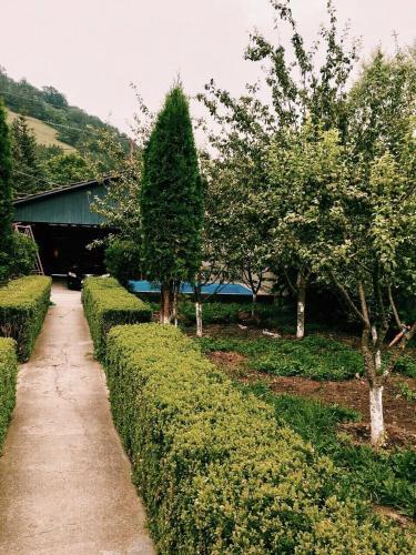 Дилижан: Holiday-Home Dilijan