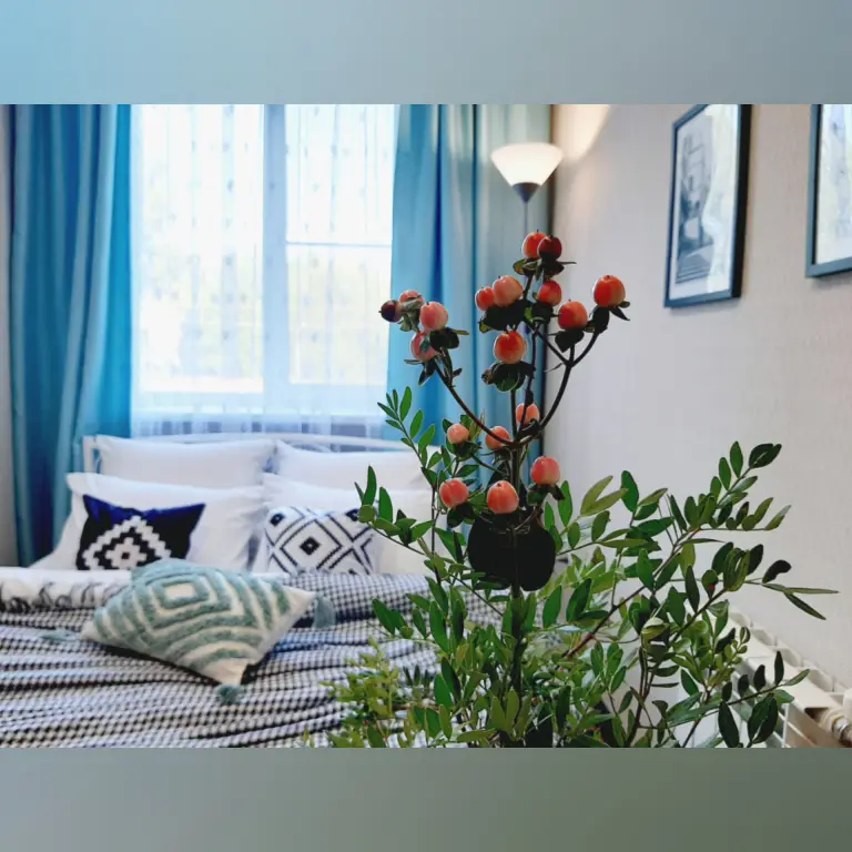 Апартаменты Mint сети DeNewHome на Ленинском проспекте — фото 1