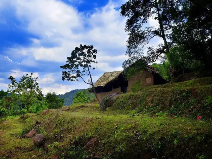 Элкадува: Knuckles Forest Lodge