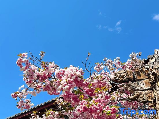 Лицзян: shanbian Inn Lijiang
