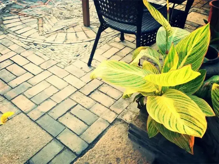 Сучжоу: Zhouzhuang Zhenfeng Riverside Courtyard Hostel