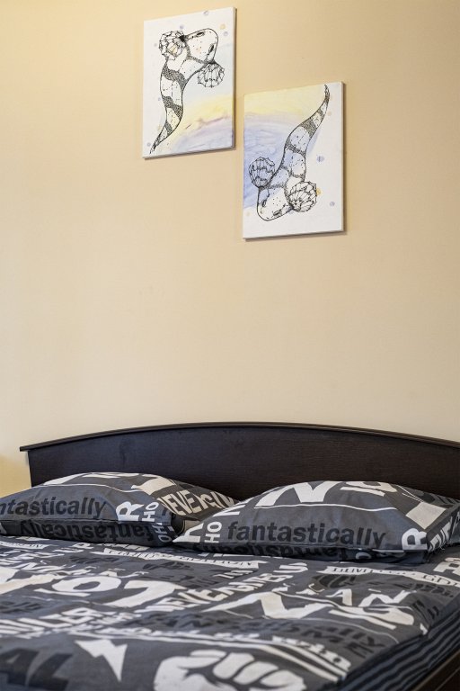 Иркутск: Апартаменты White apartment 85