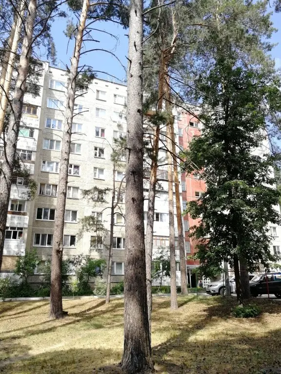 Димитровград: Апартаменты на Гвардейской 38 А