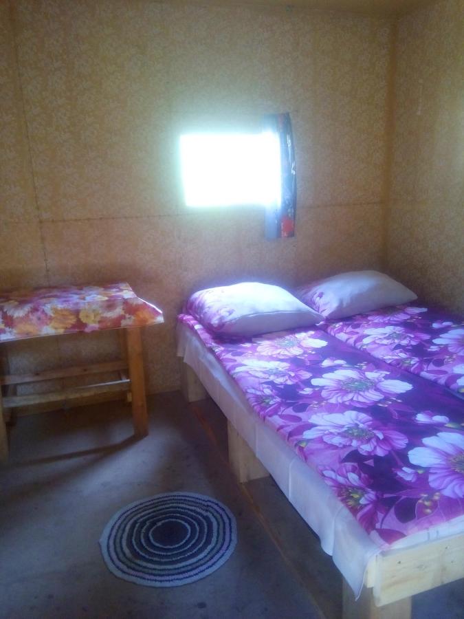 Телецкое озеро: База отдыха Кедровый берег