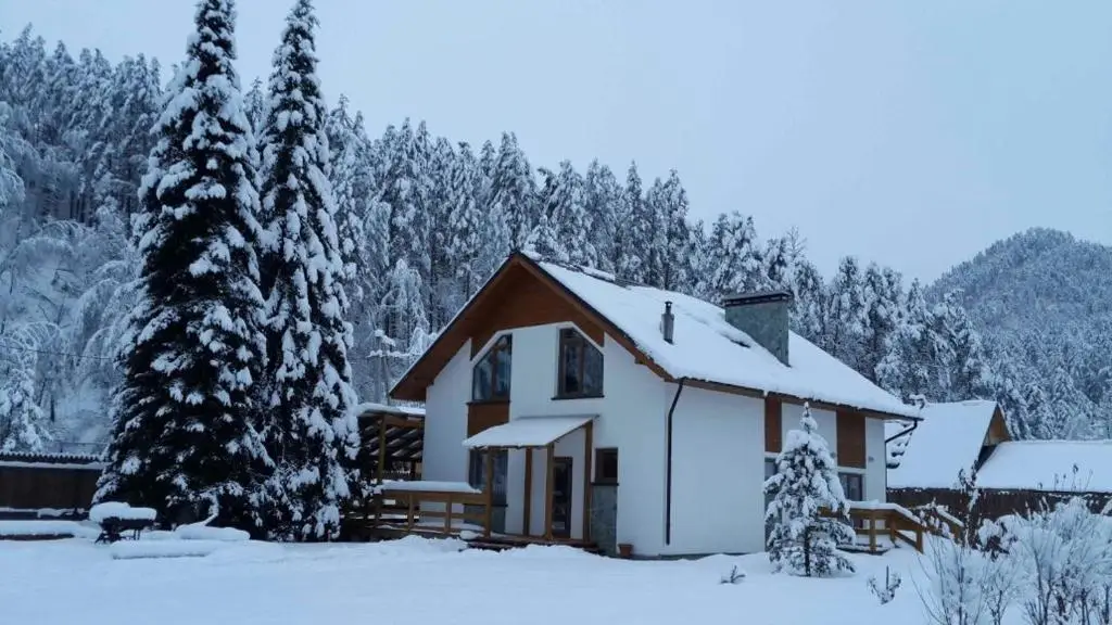 Serebryanniy ruchey cottage — фото 1