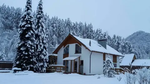 Serebryanniy ruchey cottage — фото 1